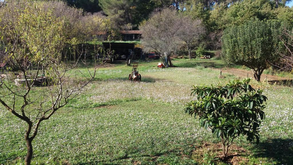 Le Mas Du Pin Vert Aubagne Kültér fotó